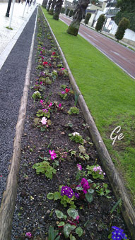 Cascais_havna_blomsterbed