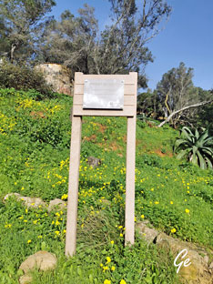 Cascais_Parken-Palmela