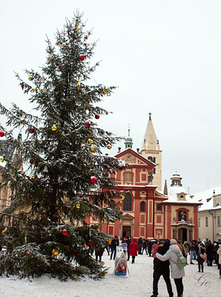 Praha-slott_St-Vitus-kirke_juletre