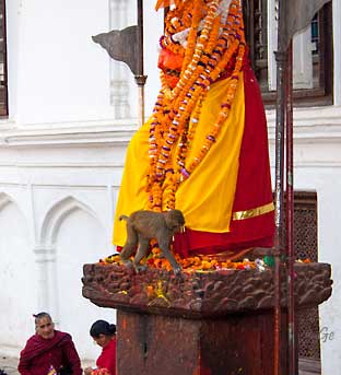 Nepal_Kathmandu_Durbar_Square_alter_og_ape