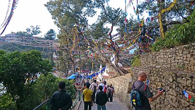 Nepal_Katmandu_Monkey_tempel_Swayambunath