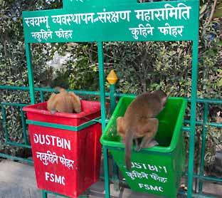 Nepal_Katmandu_Monkey_tempel_Swayambunath