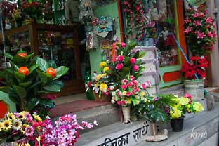 Nepal_Kathmandu_blomsterbutikk