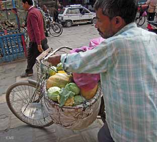 Nepal_Kathmandu_gronnsakselger