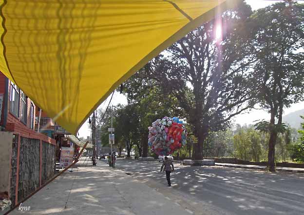 Nepal_Pokhara_Lakeside_gate