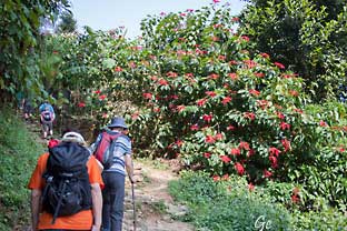 Nepal_Pokhara_stien_til_Fredspagoden