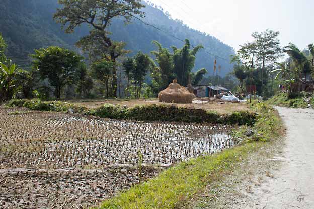 Nepal_trekking_Ghandruk_Pokhara