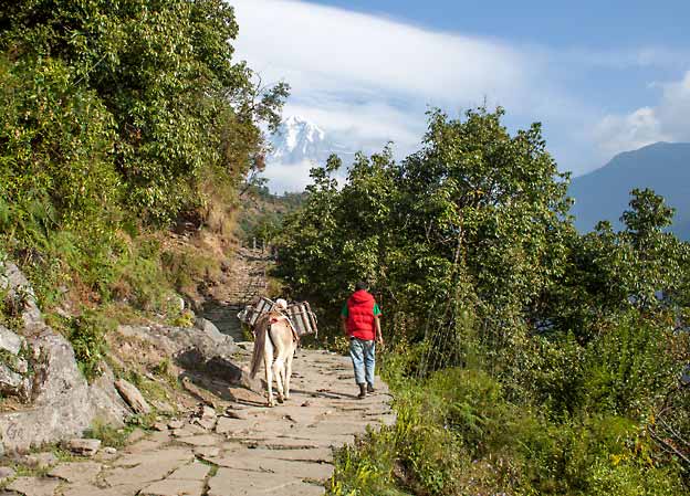 Nepal_trekking_Ghandruk_Pokhara