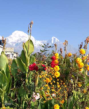 Nepal_trekking_Ghandruk