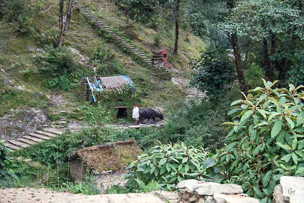 Nepal_trekking_Ghandruk