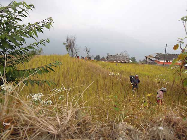 Nepal_trekking_Pokhara_Pothana
