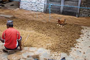 Nepal_trekking_Pothana_Ghandruk