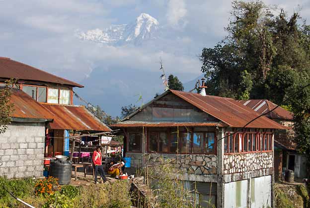 Nepal_trekking_Pothana_Ghandruk