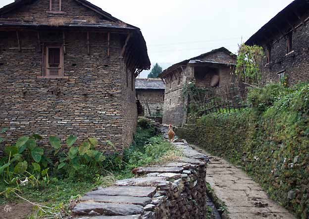 Nepal_trekking_gamle_Ghandruk