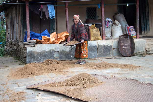 Nepal_trekking_Ghandruk