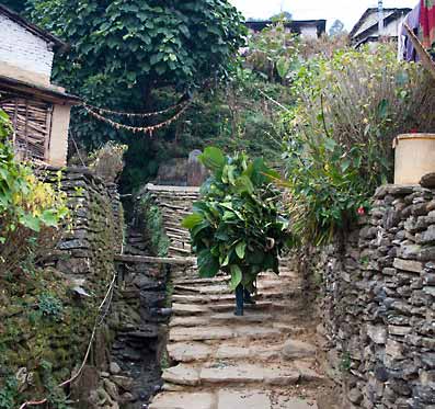 Nepal_trekking_Ghandruk