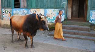 Nepal_Katmandu_ved_Pashupatinath