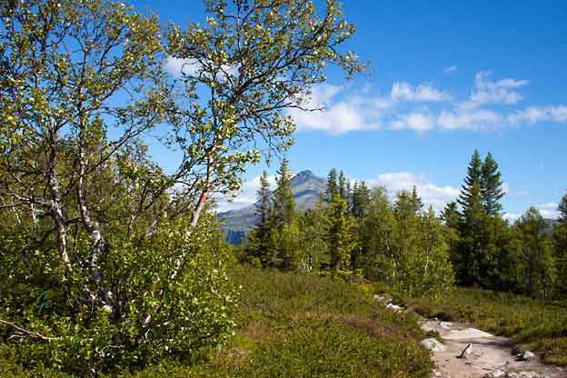 Rjukan_Gaustatoppen_fra_Gvepseborg-runden