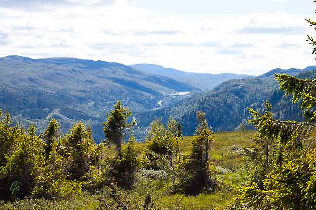 Rjukan_utsiktspunkt_Gvepseborg-runden