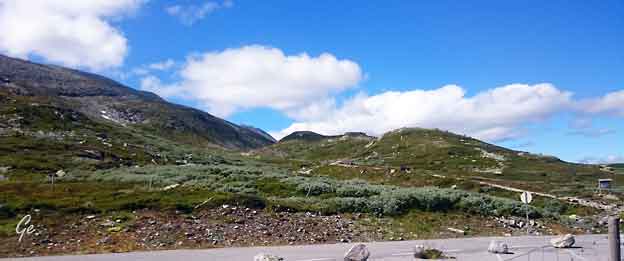 Stavsro_Gaustadtoppen