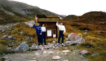 Stavsro_Gaustadtoppen