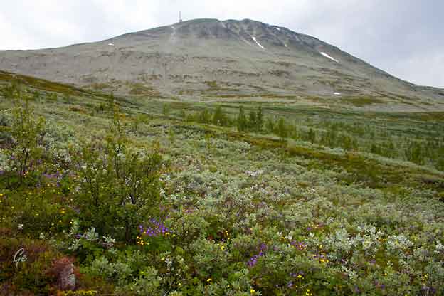 Rjukan_Gaustatoppen