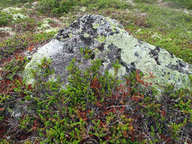 Rjukan_til_Helberghytta