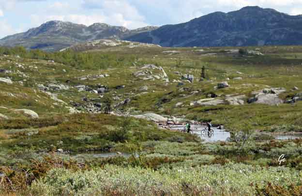 Hardangervidda_sykliste