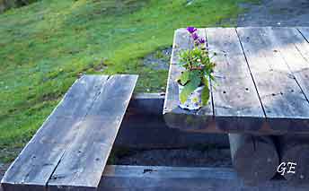 Karistova_rasteplass