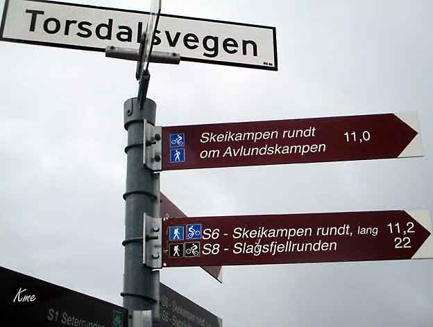 Skeikampen_Torsdalsveien