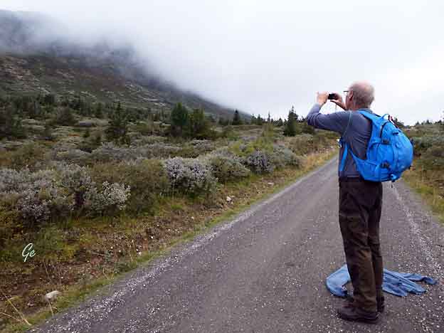 Skeikampen_Torsdalsveien