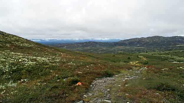 Skeikampen_Torsdalsveien