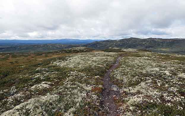 Avlundkampen_mot_Jotunheimen.