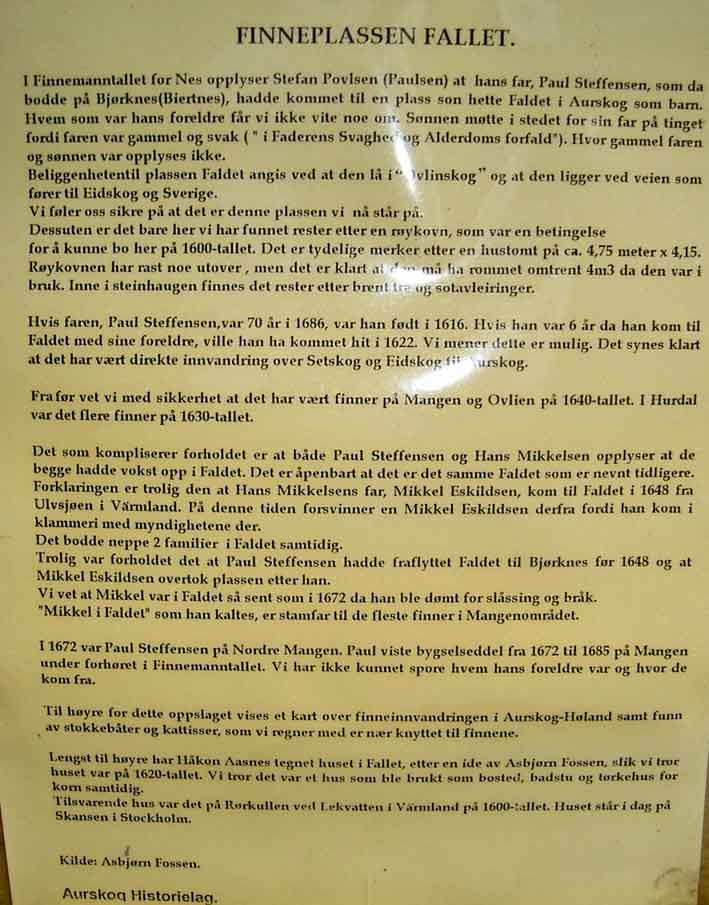 Finneplassen_Fallet