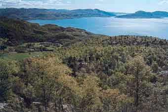 Hjelmeland_Foss-Randoy