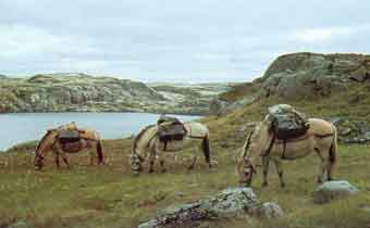 Hjelmeland_Kvelvane_