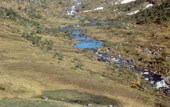 Hjelmeland_en_av_Totlands-stoelene