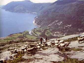 Hjelmeland_ved_Vadla.