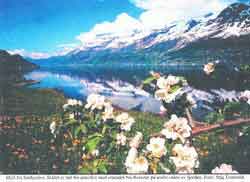 Ullensvang_Naa_Reiseter