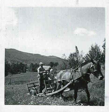 Gudbrandsdalen_Skogen_seter