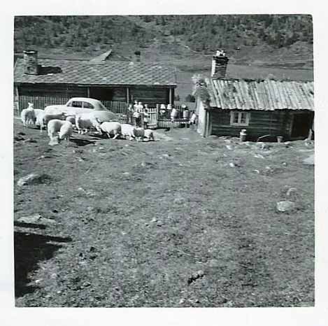 Gudbrandsdalen_Skogen_seter