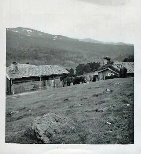 Gudbrandsdalen_Skogen_seter