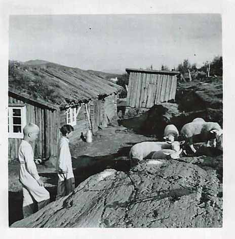 Gudbrandsdalen_Skogen_seter