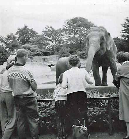 Tyskland_Hamburg_Hagenbeck