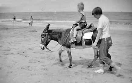 Nederland_eselridning