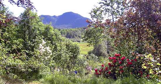 Aalesund_Emblemsvaagen