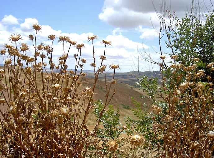 Spania_Navarra_Estella_tistler