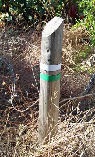 Spania_Sierra-Nevada_Bubion_white-green