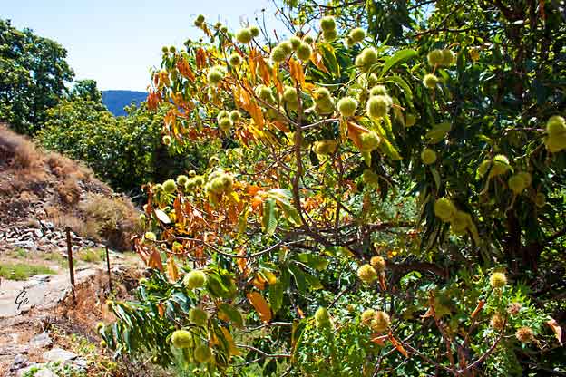 Spania_Sierra-Nevada