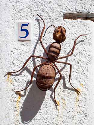 Spania_Sierra-Nevada_Mecina